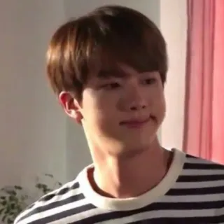 🐹 326fe1f9 人, 男性, 顔, ポートレート, kpop, 歌手, jin, bts telegram sticker