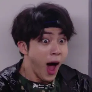 🐹 a51bfd17 人, ショック, ミーム, 面白い telegram sticker