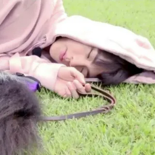 🐹 d3b398b1 睡眠, 犬, 草, 屋外, リラックス telegram sticker