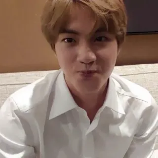🐹 edcef3cb Jin kpop, 歌手, 男性, ポートレート, 自撮り, かわいい, bts telegram sticker