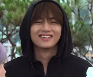 🐺 0ef213a4 telegram sticker