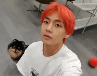 🐺 14da7f97 คน, หมา, ภาพเหมือน, ในร่ม telegram sticker