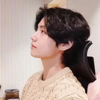 🐺 3d7256ee คน, ผู้ชาย, ภาพเหมือน, kpop, นักร้อง telegram sticker