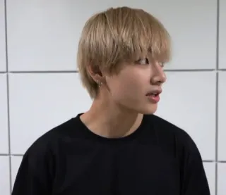 🐺 4ea3e7e5 V kpop, v, bts, นักร้อง, ผมบลอนด์, เสื้อยืด telegram sticker