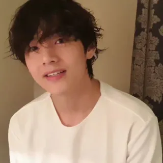 🐺 5b3359d1 telegram sticker