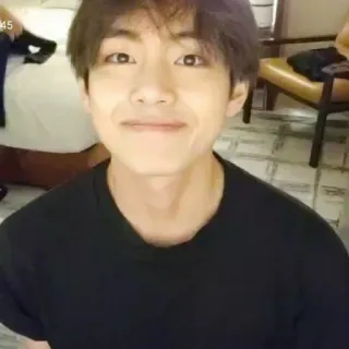 🐺 9d3452d8 telegram sticker