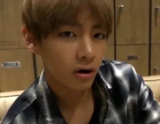 🐺 d787593d telegram sticker