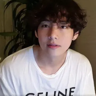 🐺 dcfbe008 CELINE คน, ผู้ชาย, เสื้อยืด, ภาพเหมือน telegram sticker