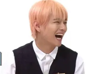 🐺 ded4b6b1 telegram sticker