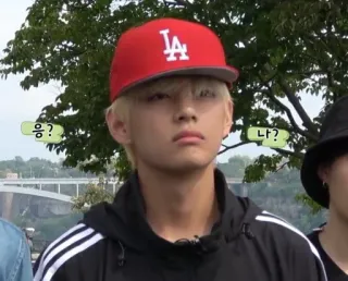 🐺 e2176a2a 응? 나? คน, หมวก, ลำลอง, ภาพบุคคล telegram sticker