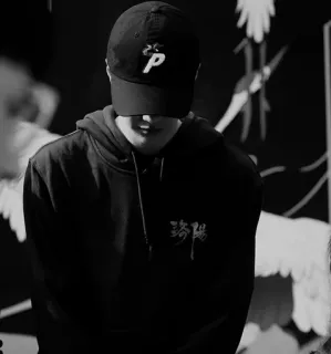 🥀 1980bc0e 骁阳 pessoa, chapéu, moletom com capuz, texto chinês, preto e branco telegram sticker