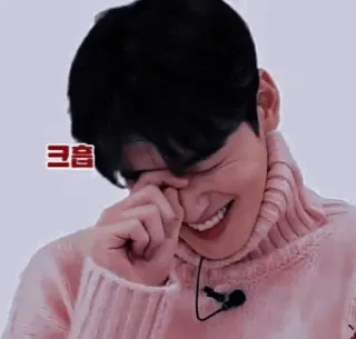 🦧 1b40a10d 크흠 coréen, souriant, acteur, rougissant, asiatique, divertissement whatsapp sticker