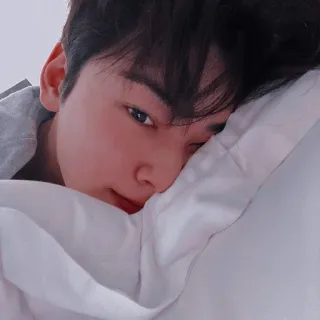 🦧 3e00d34f whatsapp sticker