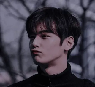 🦧 5ffec946 whatsapp sticker