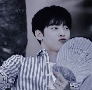 🦧 e4333b4f ASTRO K-pop, Fan, Boys band, ASTRO, Cha Eun-woo, Idole whatsapp sticker