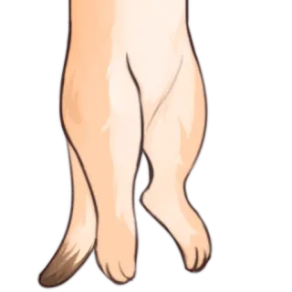 📏 24772fa1 telegram sticker