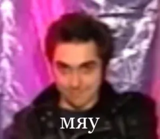 🐱 298fa384 мяу whatsapp sticker