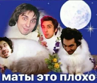 🤬 a53f12e9 маты это плохо cat, funny, meme, text, russian whatsapp sticker