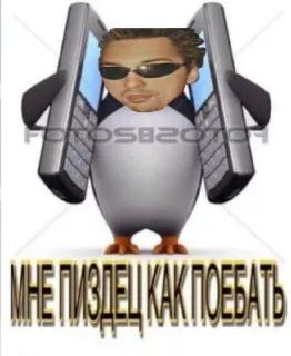 😁 aa442321 МНЕ ПИЗДЕЦ КАК ПОЕБАТЬ penguin, phones, sunglasses, russian, offensive whatsapp sticker