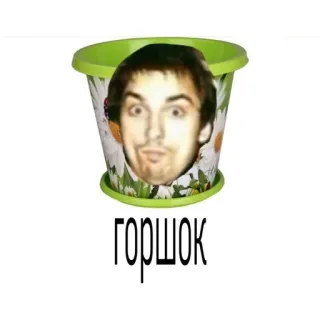 🪴 ea95d654 ГОРШОК pot, plant, face, funny, Горшок whatsapp sticker