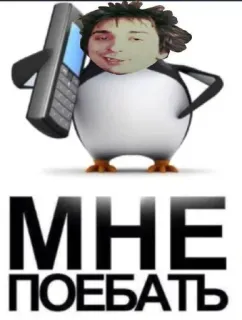 😁 f7142e16 МНЕ ПОЕБАТЬ penguin, phone, russian, meme whatsapp sticker
