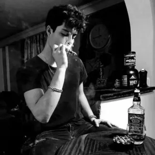 🍷 886010b8 người đàn ông, hút thuốc, xì gà, rượu, chai, trong nhà, phong cách sống telegram sticker