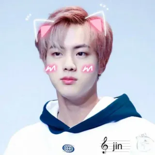🙂 0a341682 Jin jin kpop, cantante, celebrità, idol, musica, orecchie da gatto whatsapp sticker