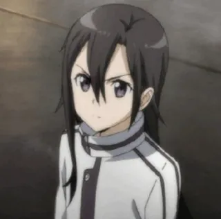 ✨ 341529ed Kirigaya Suguha Sword Art Online Anime, Personage, Meisje, Sword Art Online, Suguha Kirigaya, Leafa telegram sticker