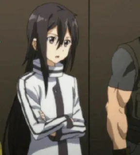 ✨ b3af156a Kirigaya Suguha Sword Art Online anime, personage, zwart haar, serieus, armen gekruist telegram sticker