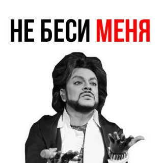 😾 64f64678 НЕ БЕСИ МЕНЯ Porträt, Spruch, Russisch, Wut, Irritation telegram sticker