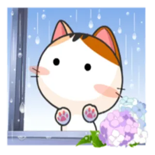 ⛈ 1b816c95 kat, regen, schattig, hortensia, raam, kawaii telegram sticker