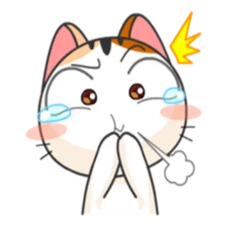 🥘 dcca4d2b kat, emoties, verrast, geschrokken, dier, cartoon, schattig telegram sticker