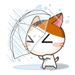 🌧 fefcbf52 kat, paraplu, regen, schattig, cartoon, kawaii, dier telegram sticker