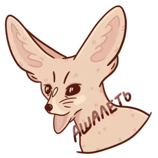😧 1120f146 Ашалеть fennec fox, animal, cute, sticker, russian, ашалеть, fox, desert fox telegram sticker