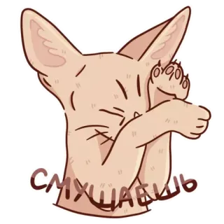 Абрикос telegram stickers