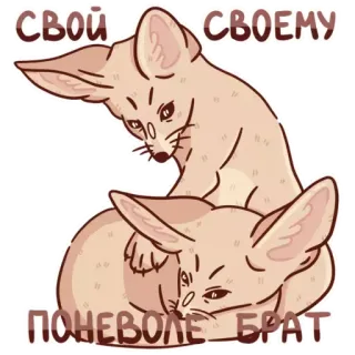 🤝 af696b87 СВОЙ СВОЕМУ
ПОНЕВОЛЕ БРАТ fennec fox, fox, animals, friendship, brother telegram sticker