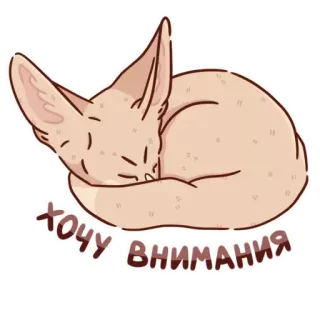 🥲 bcd07aa3 ХОЧУ ВНИМАНИЯ fennec fox, sleepy, cute, animal, kawaii, cartoon, resting, want attention telegram sticker
