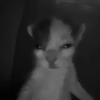 🐈‍⬛️ 000d2be1 สัตว์, สิ่งมีชีวิต, แฟนตาซี, สัตว์ประหลาด, ภาพเหมือน, สีเทา telegram sticker