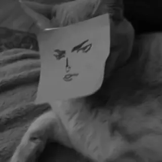 🐈‍⬛️ 3abf2204 telegram sticker