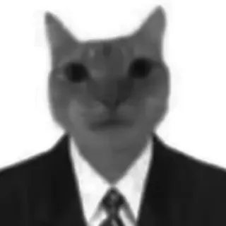 🐈‍⬛️ 883af32b แมว, สูท, สัตว์, มีม, ตลก telegram sticker