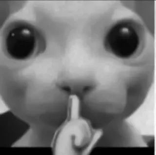 котики няɯᴋи | @kengastickers telegram stickers