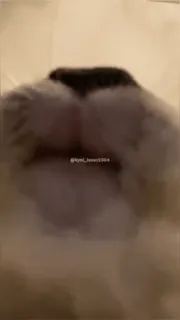 😋 00460b3d @rynn_laww384 whatsapp sticker