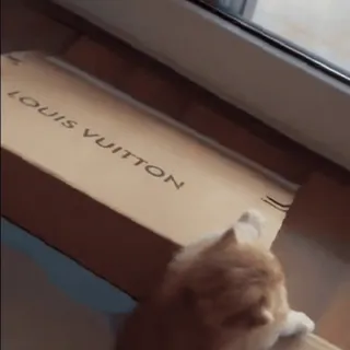 @kissevaa 💘 telegram stickers