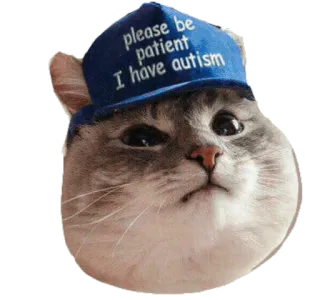 😥 46de7a2c please be patient I have autism gato, autismo, paciente, animal, meme, adesivo telegram sticker
