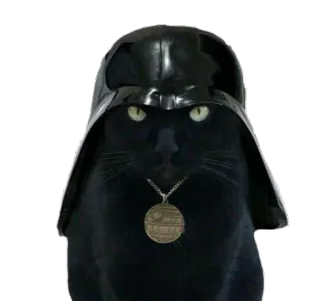 кисулькен whatsapp stickers