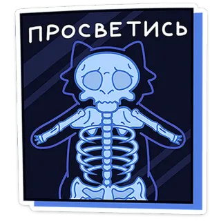 🐈 1aad3685 ПРОСВЕТИСЬ แมว, โครงกระดูก, เอ็กซ์เรย์, ตลก, การ์ตูน, อารมณ์ขัน, สัตว์ telegram sticker