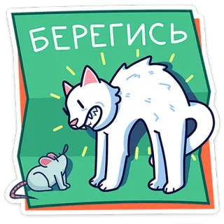 🐈 6278bbcc БЕРЕГИСЬ แมว, หนู, คำเตือน, สัตว์, สติกเกอร์, การ์ตูน telegram sticker