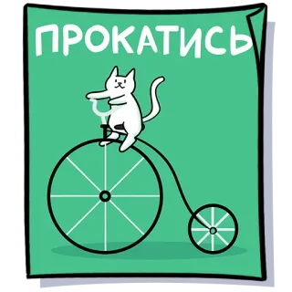 🚴‍♂️ d0612eb3 ПРОКАТИСЬ Katze, Fahrrad, Hochrad, Vintage, Tier, Fahrt, Text telegram sticker