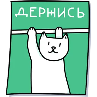 Кисулькенс by @Martadello whatsapp stickers