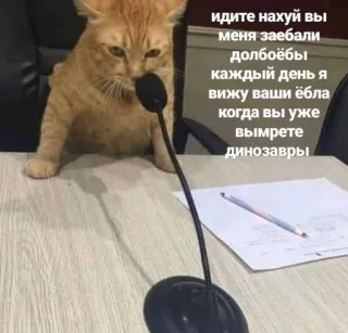 😑 26575634 идите нахуй вы меня заебали долбоёбы каждый день я вижу ваши ёбла когда вы уже вымрете динозавры 猫, 麦克风, 生气, 桌子, 冒犯, 俄语 telegram sticker